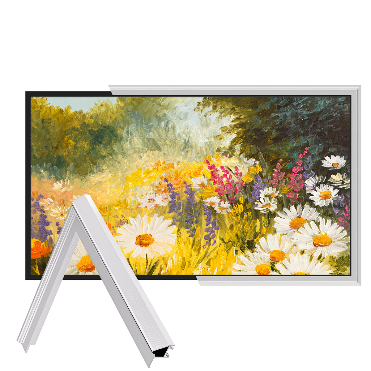 VueFrame TV Frames Alloy 65"