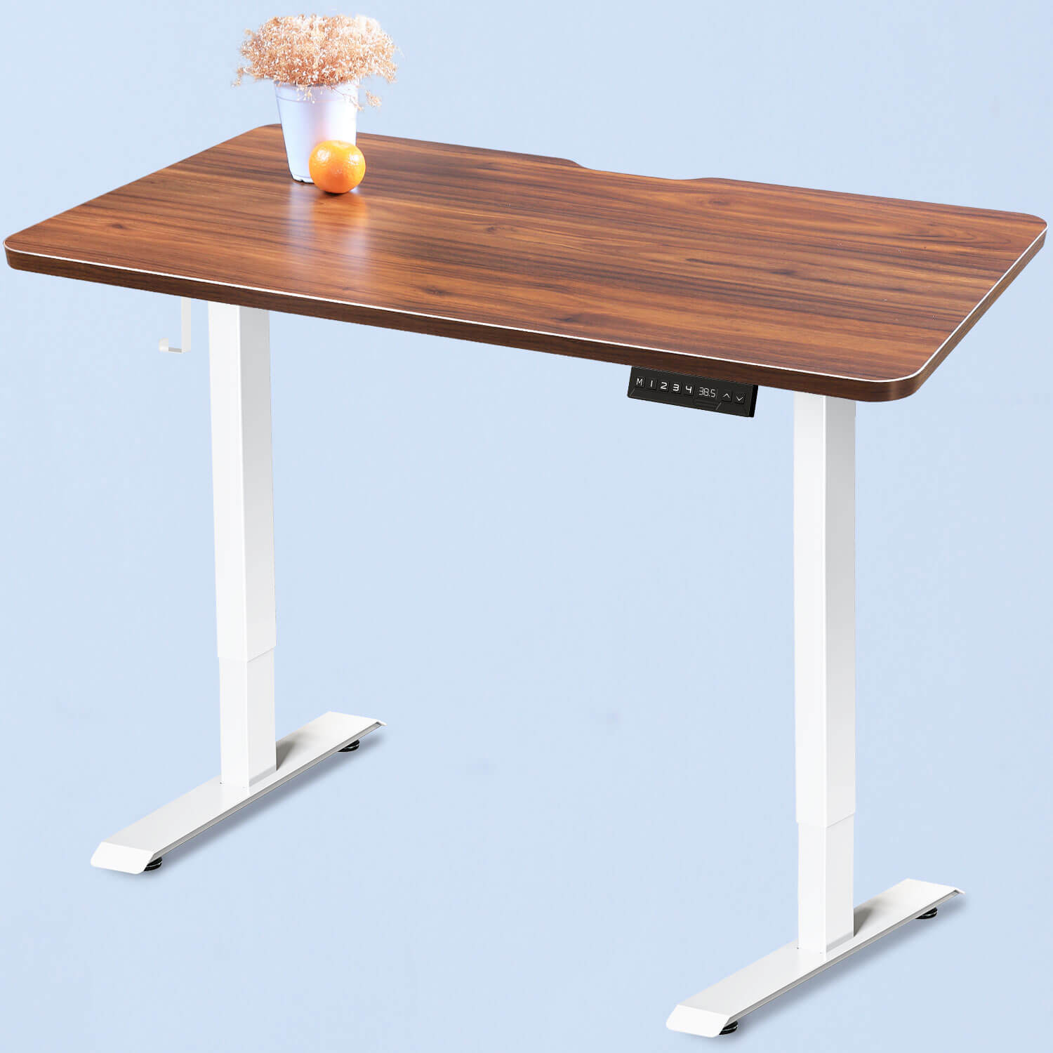 Walnut Top WOKA 48"x24" Electric Height Adjustable Standing Desk with Dual Motors