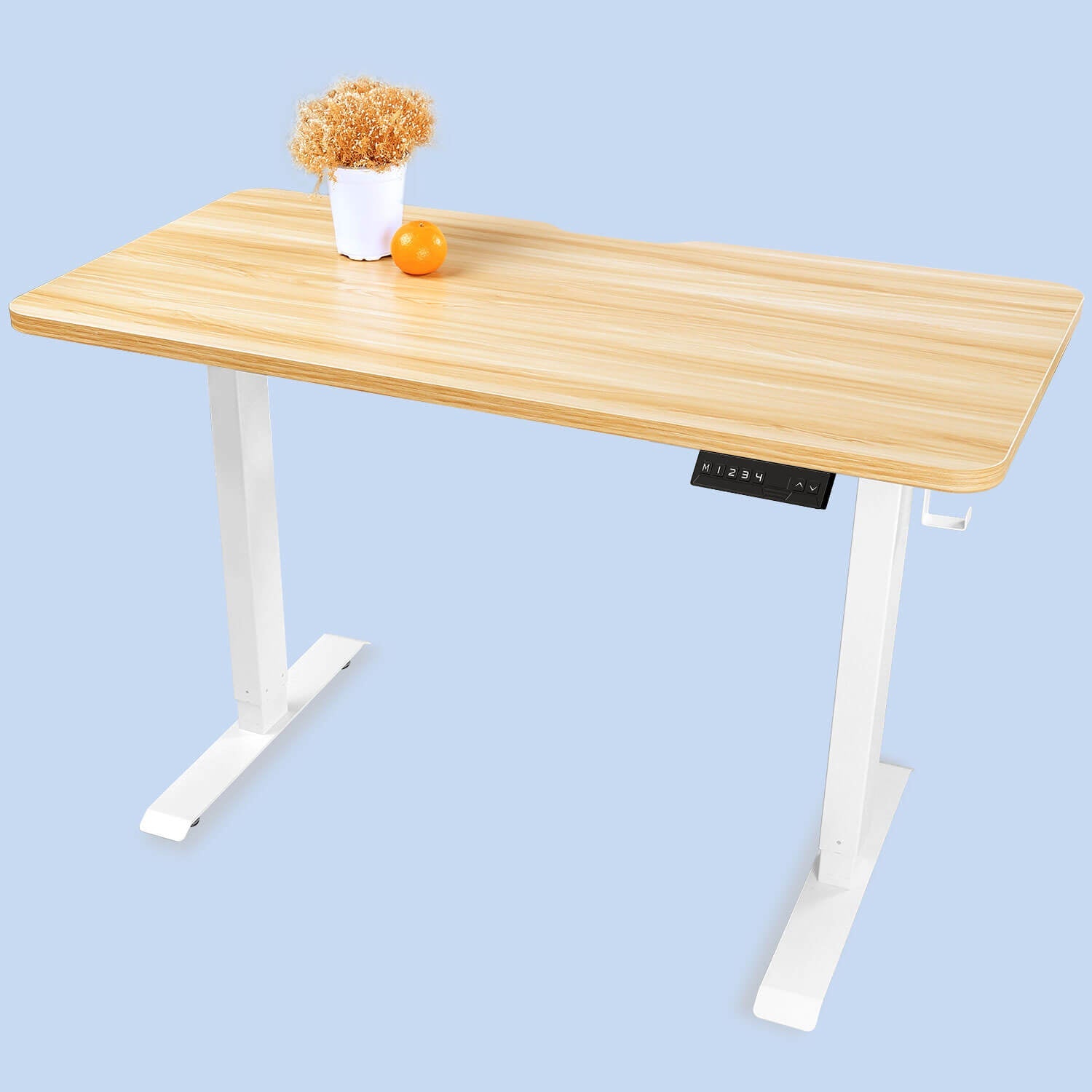Oak Top WOKA 48"x24" Electric Height Adjustable Standing Desk with Dual Motors