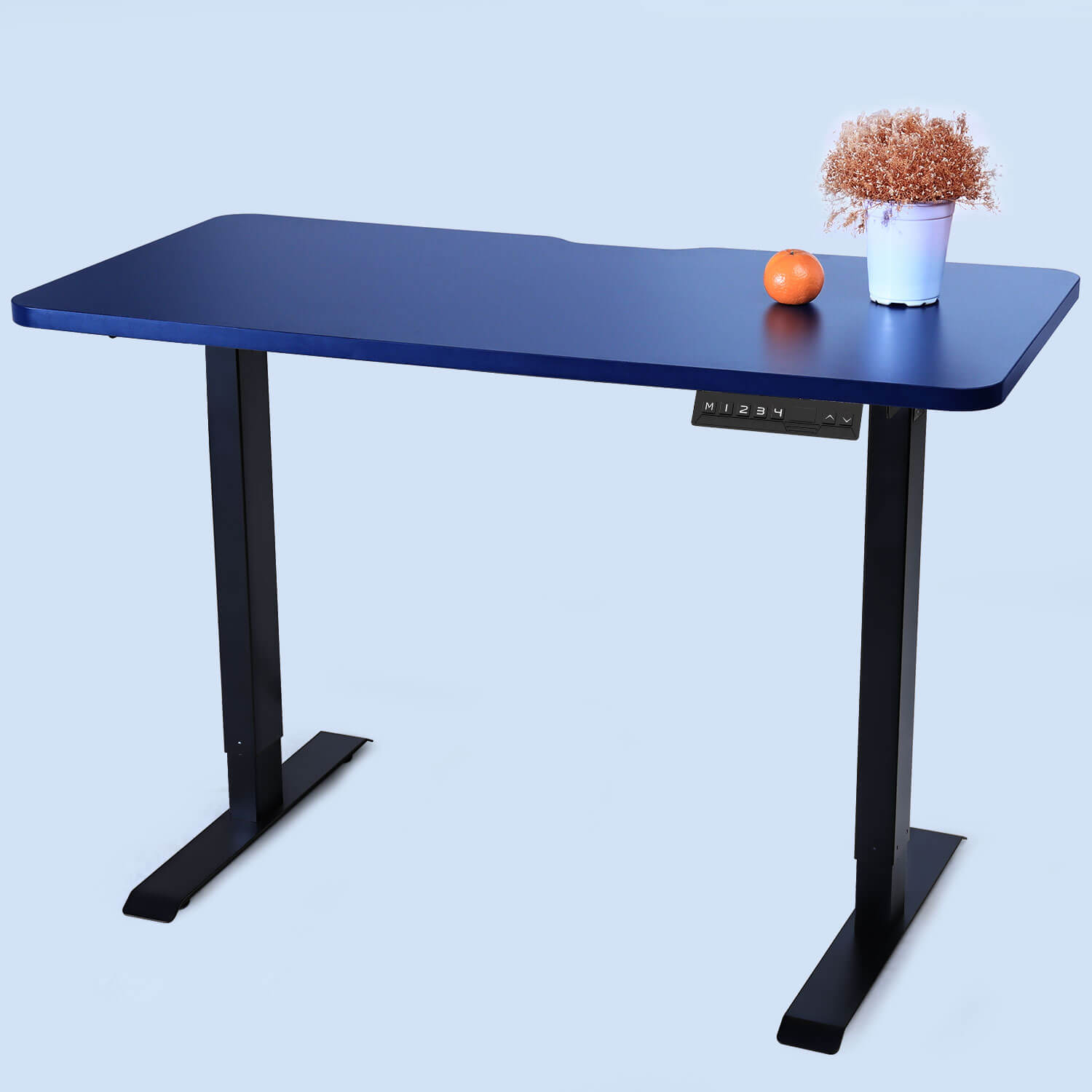 Blue Top WOKA 48"x24" Electric Height Adjustable Standing Desk with Dual Motors