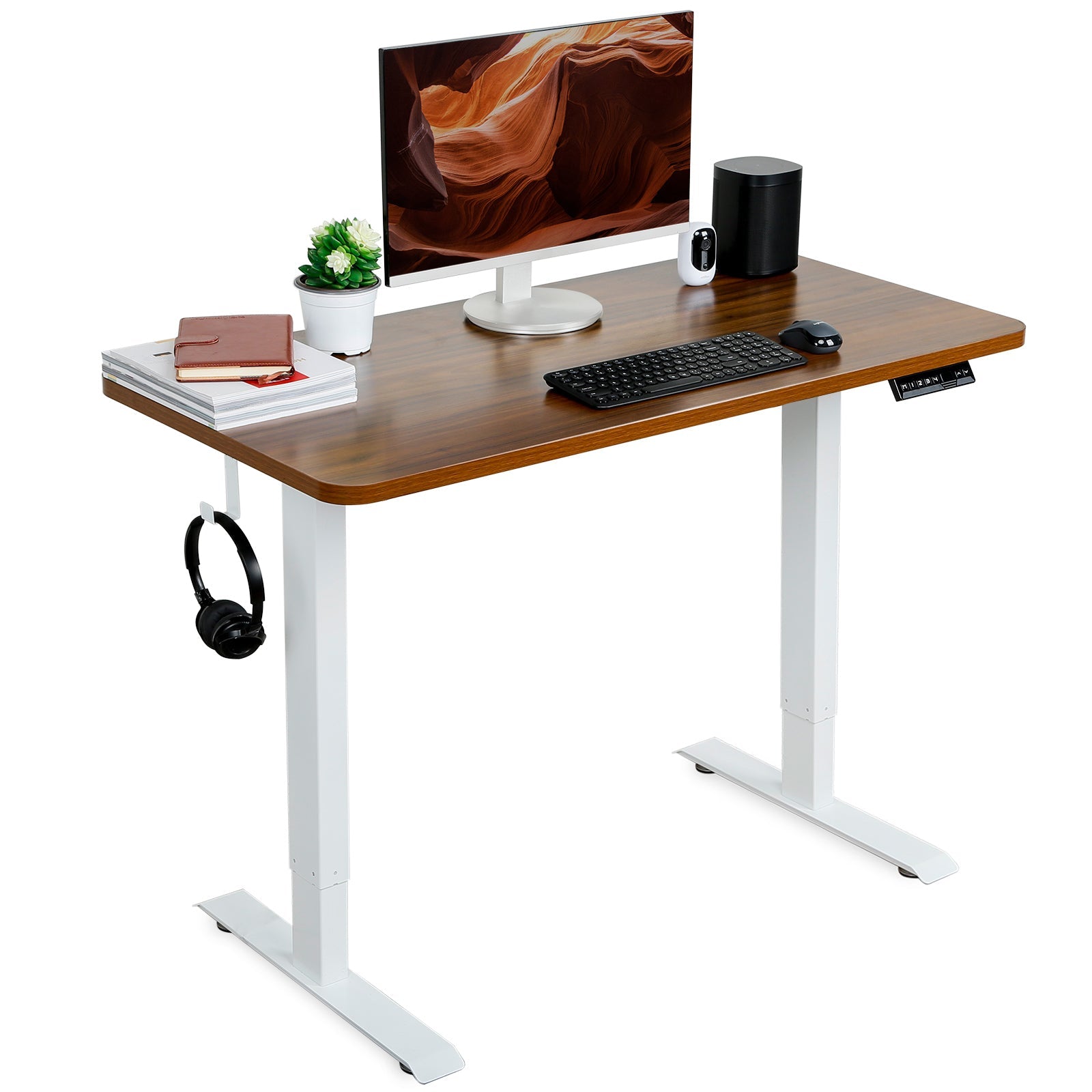 Walnut WOKA Electric Height Adjustable Stand Up Desk with Dual Motors 